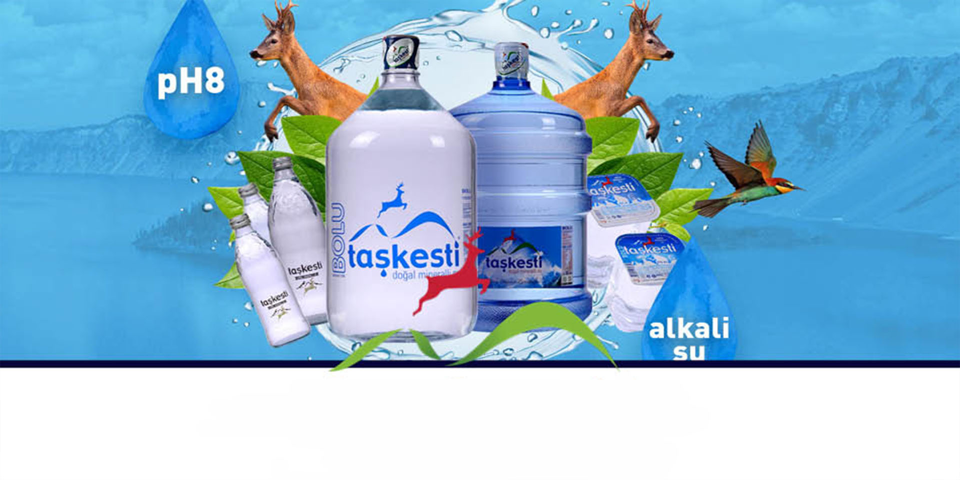 Tabiatın Kalbi Bolu'dan